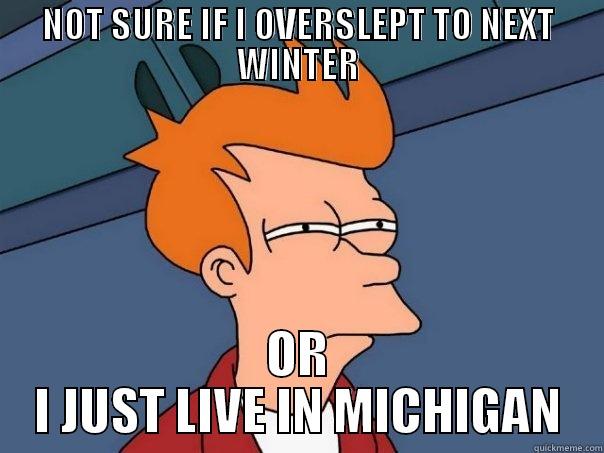 NOT SURE IF I OVERSLEPT TO NEXT WINTER OR I JUST LIVE IN MICHIGAN Futurama Fry