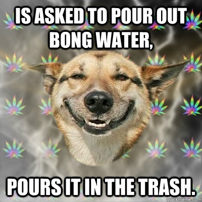 Is asked to pour out bong water, pours it in the trash.  Stoner Dog