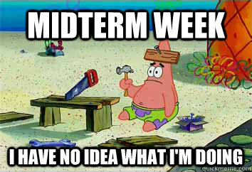 Midterm week I have no idea what i'm doing  I have no idea what Im doing - Patrick Star