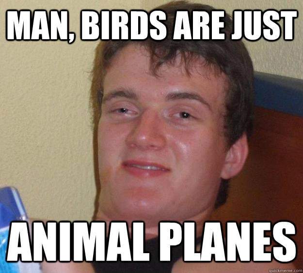 Man, birds are just Animal Planes - Man, birds are just Animal Planes  10 Guy