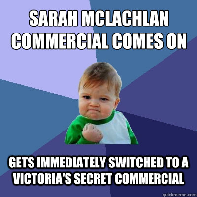 Sarah Mclachlan commercial comes on Gets immediately switched to a Victoria's Secret commercial - Sarah Mclachlan commercial comes on Gets immediately switched to a Victoria's Secret commercial  Success Kid