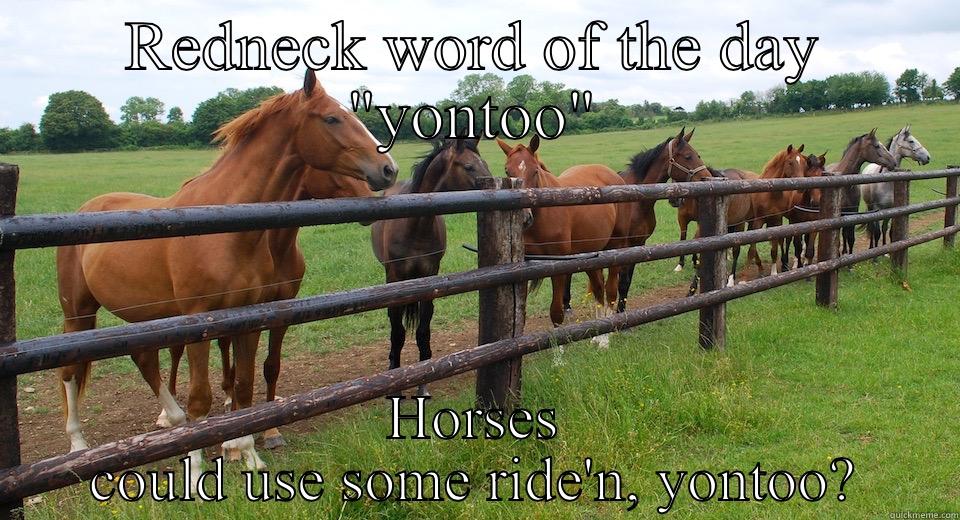 Country lingo  - REDNECK WORD OF THE DAY 