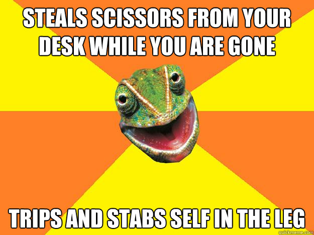 Steals scissors from your desk while you are gone trips and stabs self in the leg  Karma Chameleon