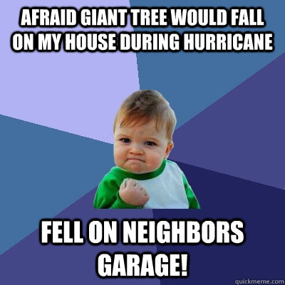 afraid giant tree would fall on my house during hurricane fell on neighbors garage!  Success Kid