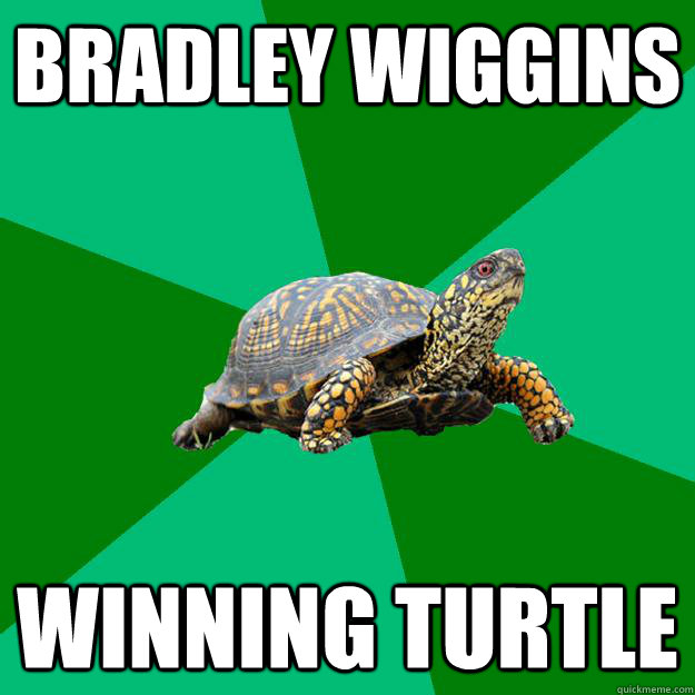 Bradley Wiggins Winning turtle  Torrenting Turtle