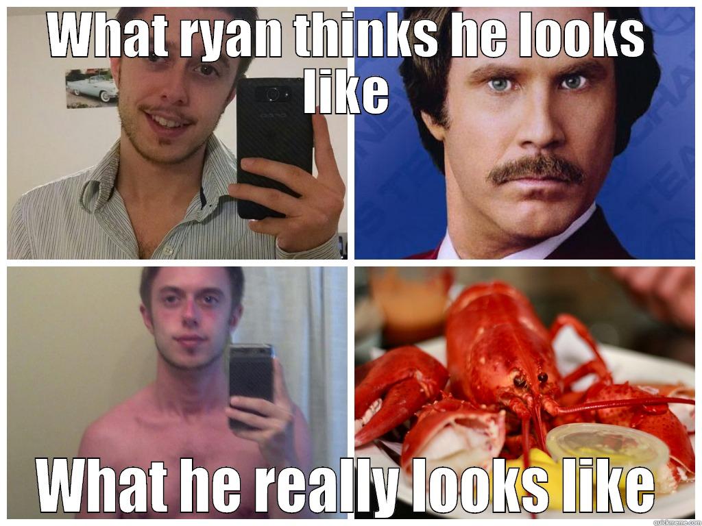 WHAT RYAN THINKS HE LOOKS LIKE WHAT HE REALLY LOOKS LIKE Misc