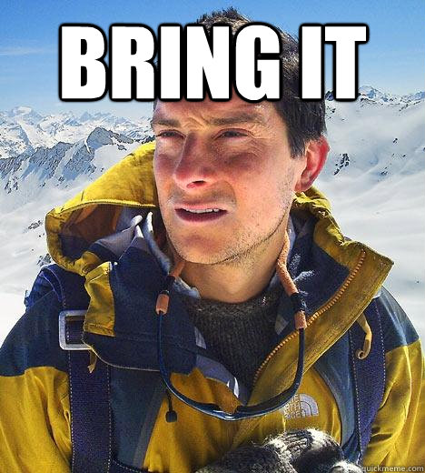 BRING IT   Bear Grylls