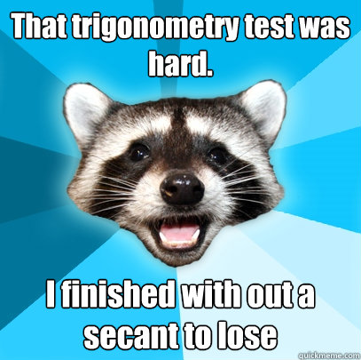 That trigonometry test was hard. I finished with out a secant to lose  Lame Pun Coon