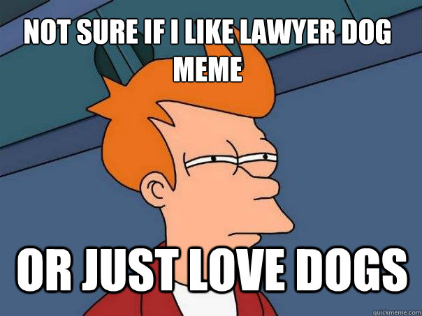 Not sure if I like Lawyer Dog Meme Or just love dogs  Futurama Fry