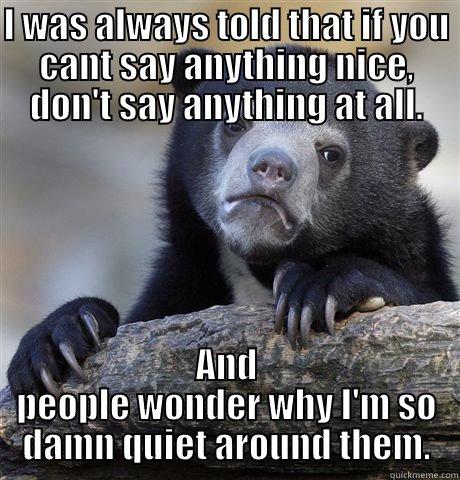 I WAS ALWAYS TOLD THAT IF YOU CANT SAY ANYTHING NICE, DON'T SAY ANYTHING AT ALL. AND PEOPLE WONDER WHY I'M SO DAMN QUIET AROUND THEM. Confession Bear