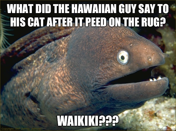 What did the Hawaiian guy say to his cat after it peed on the rug? Waikiki???  Bad Joke Eel