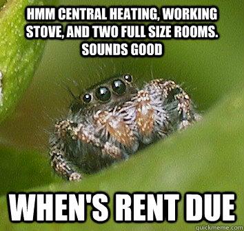 Hmm central heating, working stove, and two full size rooms. sounds good when's rent due  Misunderstood Spider