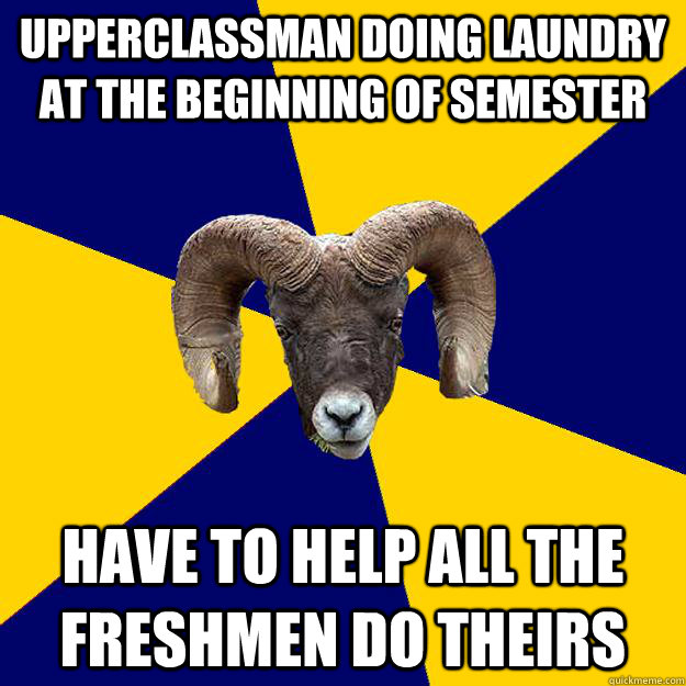 Upperclassman doing laundry at the beginning of semester have to help all the freshmen do theirs - Upperclassman doing laundry at the beginning of semester have to help all the freshmen do theirs  Suffolk Kid Ram