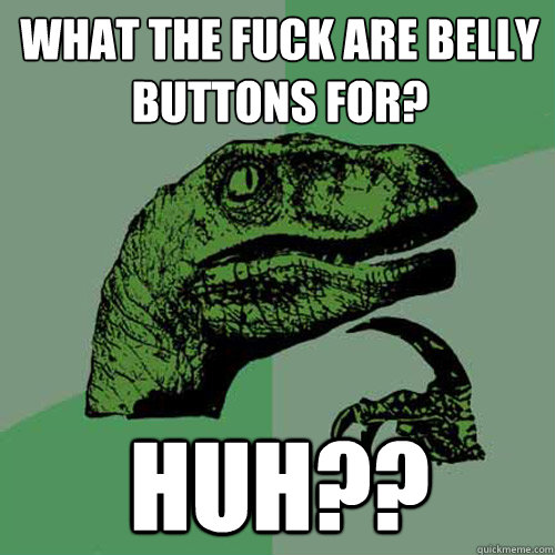 WHAT THE FUCK ARE BELLY BUTTONS FOR? HUH??  Philosoraptor