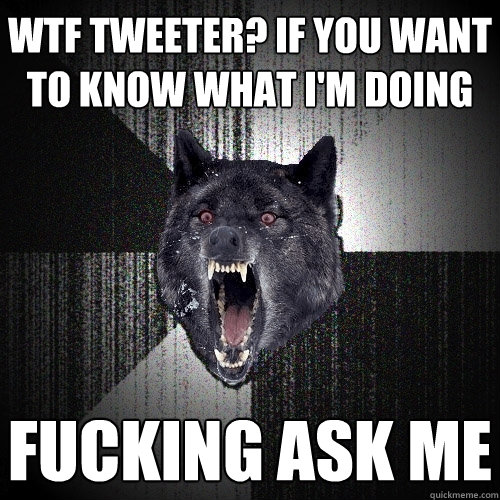 wtf tweeter? if you want to know what i'm doing fucking ask me  Insanity Wolf