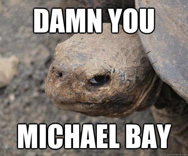 Damn You Michael Bay  Mad Turtle