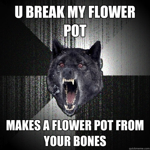 u break my flower pot makes a flower pot from your bones  Insanity Wolf