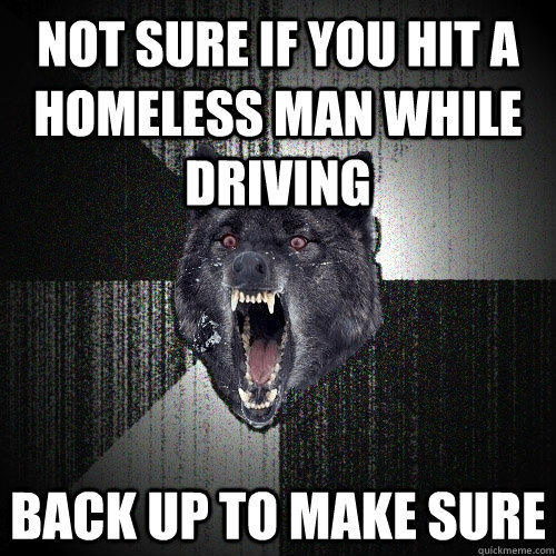 not sure if you hit a homeless man while driving back up to make sure  Insanity Wolf