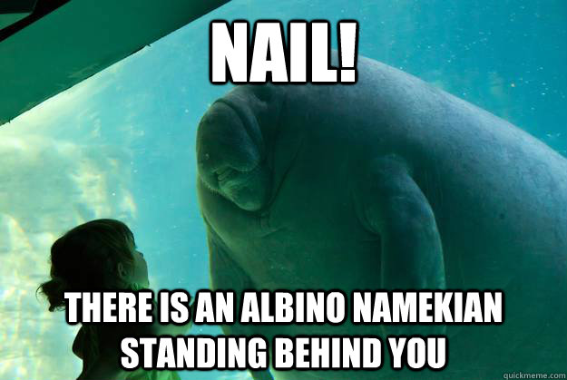 Nail! There is an albino namekian standing behind you - Nail! There is an albino namekian standing behind you  Overlord Manatee