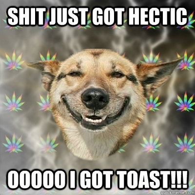 Shit just got Hectic  OOOOO I GOT TOAST!!!  Stoner Dog