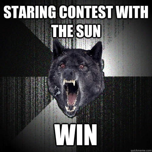 Staring contest with the sun Win  Insanity Wolf