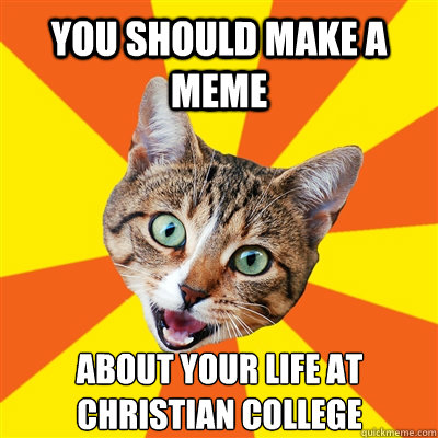 YOU SHOULD MAKE A MEME ABOUT YOUR LIFE AT CHRISTIAN COLLEGE  Bad Advice Cat