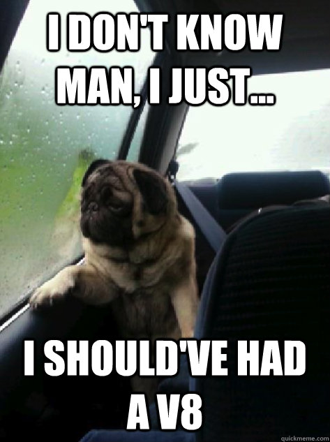 I don't know man, I just... I should've had a V8 - I don't know man, I just... I should've had a V8  Introspective Pug