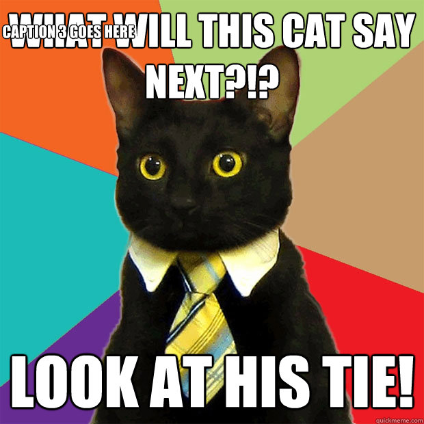 What will this cat say next?!? Look at his tie! Caption 3 goes here  Business Cat