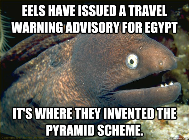 Eels have issued a travel warning advisory for Egypt It's where they invented the Pyramid Scheme.  - Eels have issued a travel warning advisory for Egypt It's where they invented the Pyramid Scheme.   Bad Joke Eel