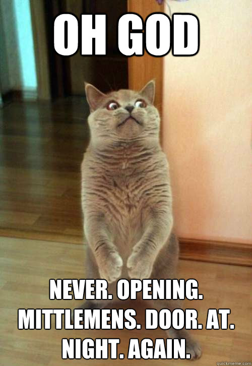 Oh god NEVER. OPENING. MITTLEMENS. Door. at. night. again.  Horrorcat