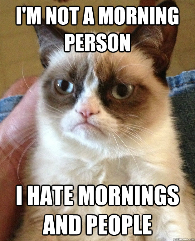 I'm not a morning person i hate mornings and people  - I'm not a morning person i hate mornings and people   Misc