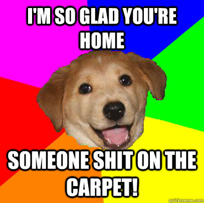 i'm so glad you're home someone shit on the carpet!  Advice Dog