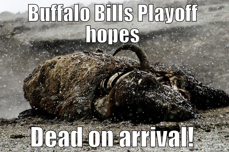 BUFFALO BILLS PLAYOFF HOPES DEAD ON ARRIVAL! Misc