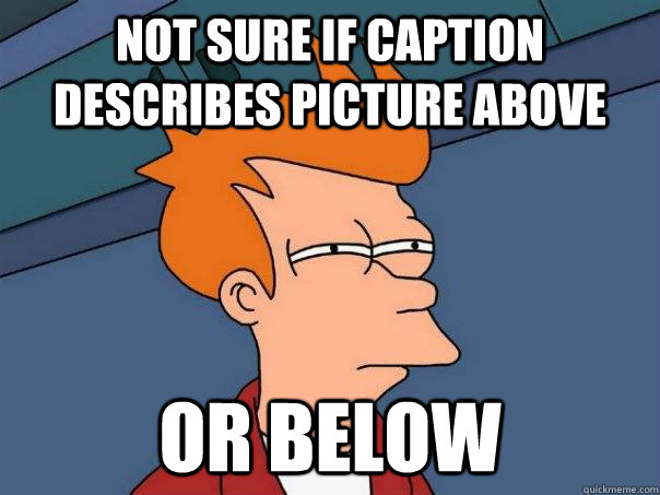 Not sure if caption describes picture above or below  Futurama Fry