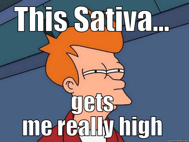 This Sativa... - THIS SATIVA... GETS ME REALLY HIGH Futurama Fry