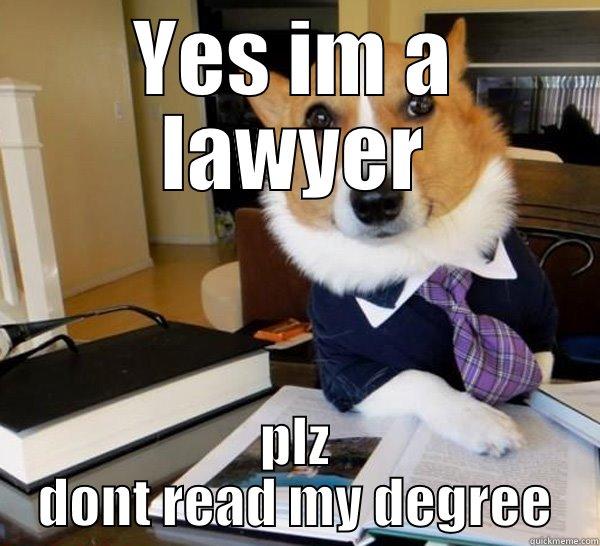 YES IM A LAWYER PLZ DONT READ MY DEGREE Lawyer Dog