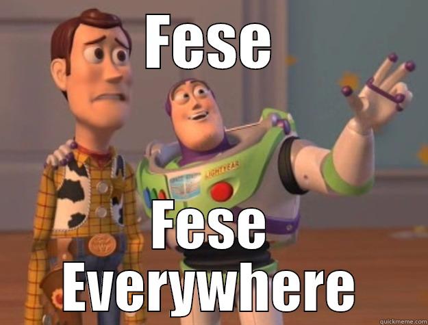 FESE FESE EVERYWHERE Toy Story