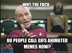 why the fuck Do people call GIFs animated memes now?  Annoyed Picard