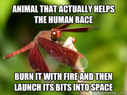 Animal that actually helps the human race Burn it with fire and then launch its bits into space  