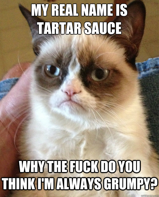 My real name is
Tartar Sauce Why the fuck do you think I'm always grumpy? - My real name is
Tartar Sauce Why the fuck do you think I'm always grumpy?  Grumpy Cat