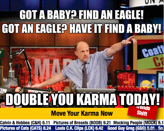 Got a baby? find an eagle!
got an Eagle? Have it find a baby! Double you karma today! - Got a baby? find an eagle!
got an Eagle? Have it find a baby! Double you karma today!  Mad Karma with Jim Cramer