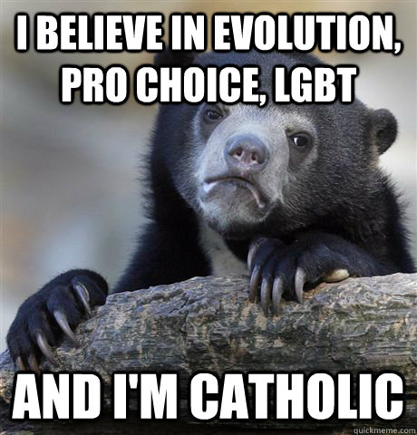 I believe in evolution, pro choice, LGBT AND I'M CATHOLIC  Confession Bear