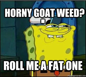 Horny goat weed? roll me a fat one   Spongebob