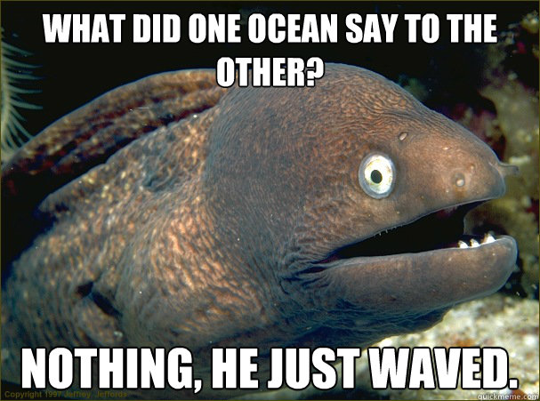 What did one ocean say to the other? Nothing, he just waved.  Bad Joke Eel