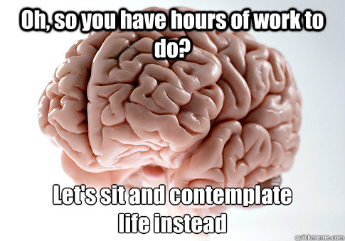 Oh, so you have hours of work to do? Let's sit and contemplate
life instead - Oh, so you have hours of work to do? Let's sit and contemplate
life instead  Scumbag Brain