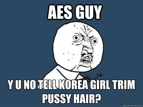 AES GUY Y U NO TELL KOREA GIRL TRIM PUSSY HAIR?  Y U No