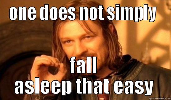 ONE DOES NOT SIMPLY  FALL ASLEEP THAT EASY Boromir