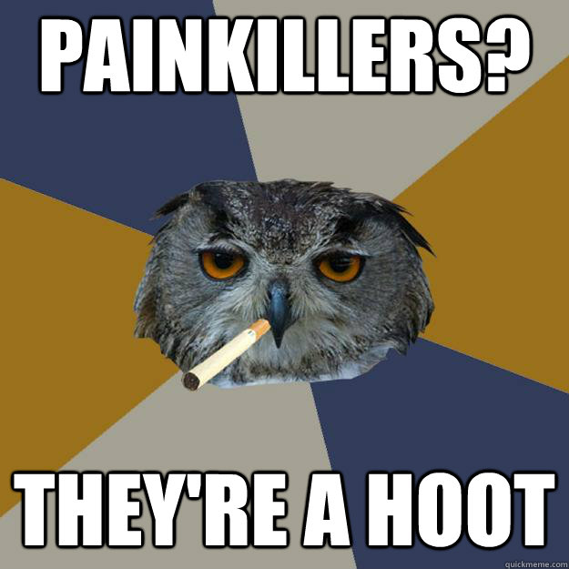 Painkillers? They're a hoot  Art Student Owl