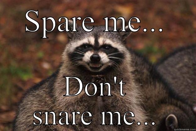 Spare me don't snare me... - SPARE ME... DON'T SNARE ME... Evil Plotting Raccoon