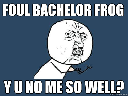 FOUL BACHELOR FROG y u no ME SO WELL?  Y U No